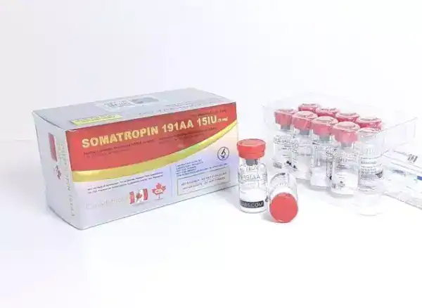 Vial of human growth hormone Somatropin 191A4 with ampoules for injection.