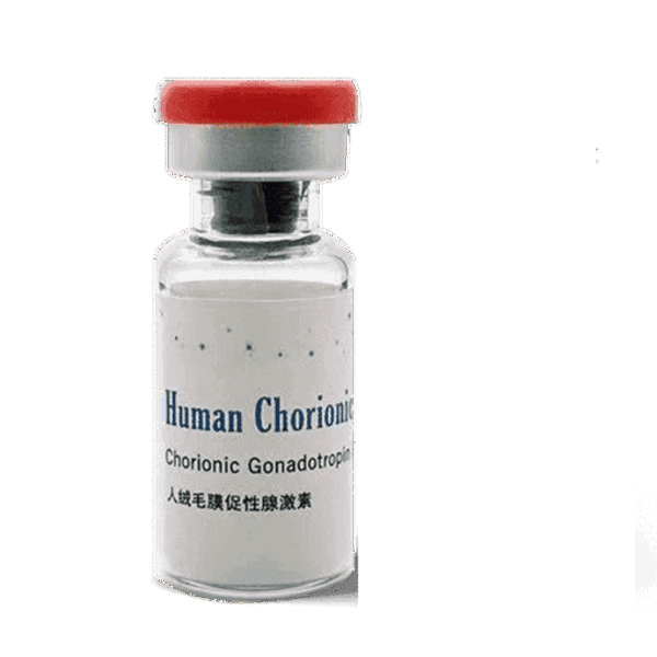 Chorionic Gonadotropin (HCG) injectable peptide for hormone therapy and wellness solutions.